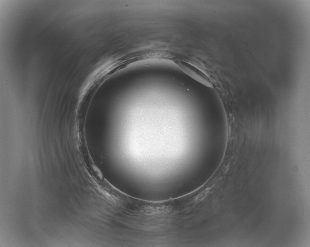 X0000062650245200512211239