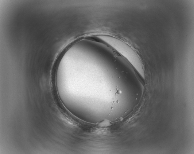X0000062650248200512211239