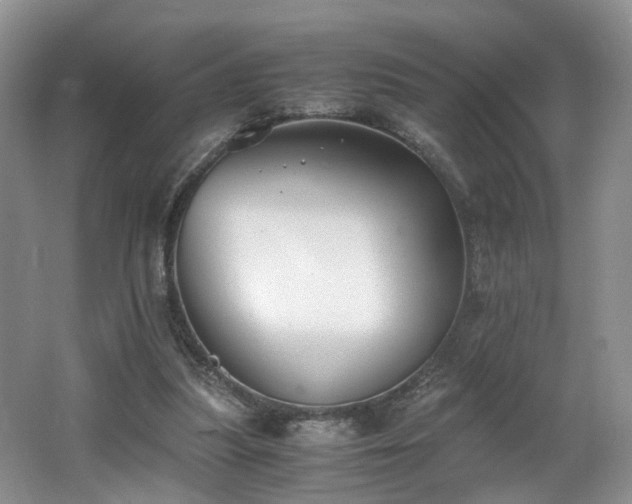 X0000062650251200512211239