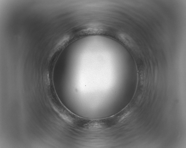 X0000062650254200512211239