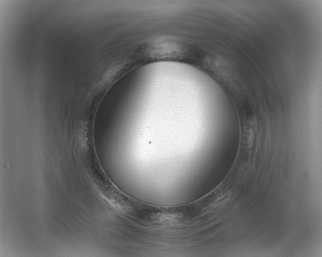 X0000062650255200512211239