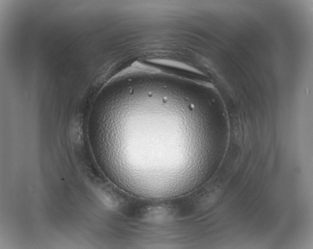 X0000062650259200512211239