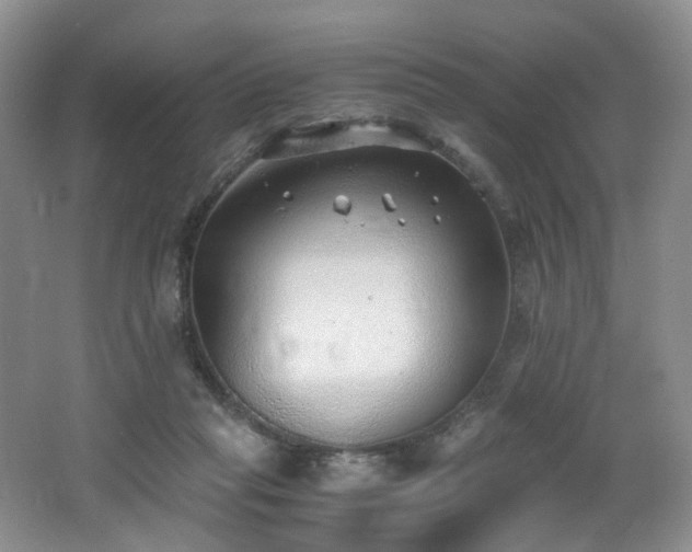 X0000062650261200512211239