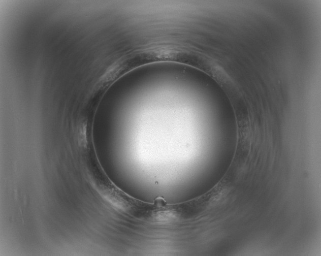 X0000062650262200512211239