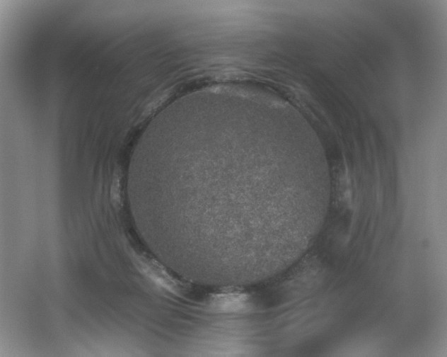X0000062650266200512211239