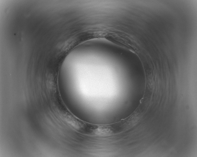 X0000062650270200512211239