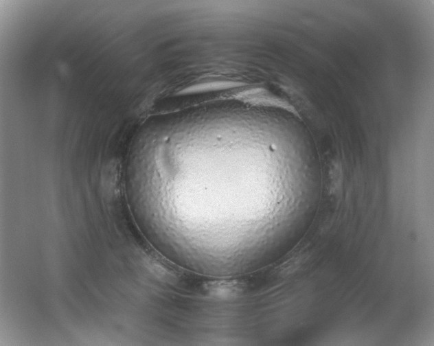 X0000062650273200512211239