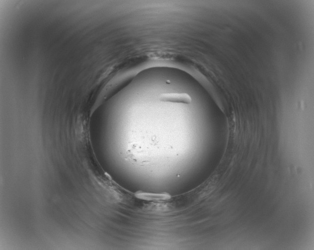 X0000062650276200512211239