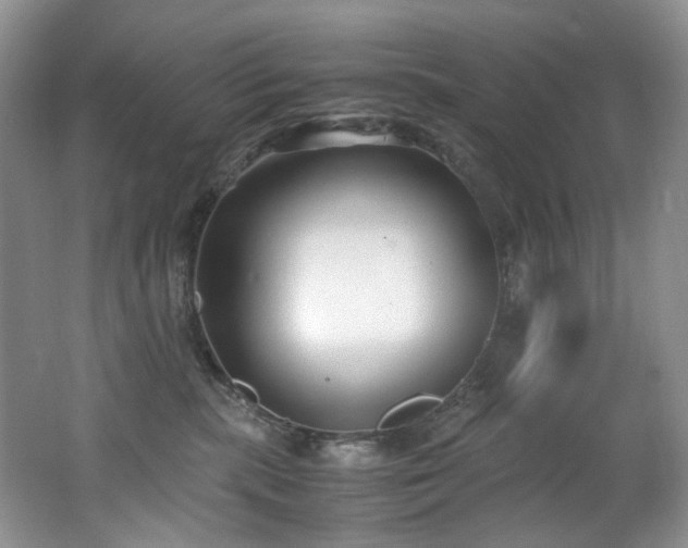 X0000062650283200512211240