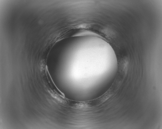 X0000062650284200512211240