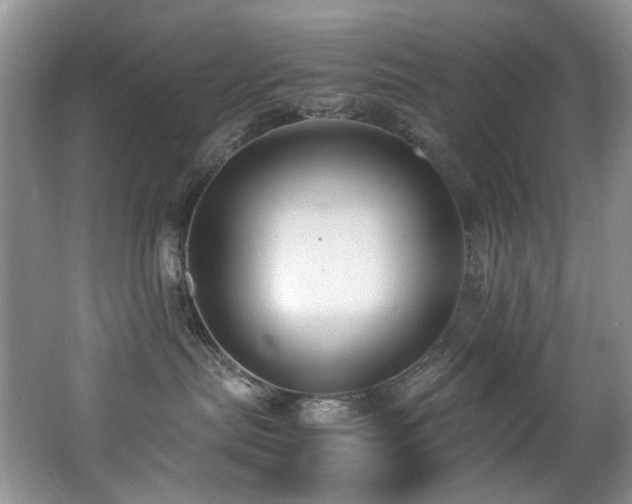 X0000062650287200512211240