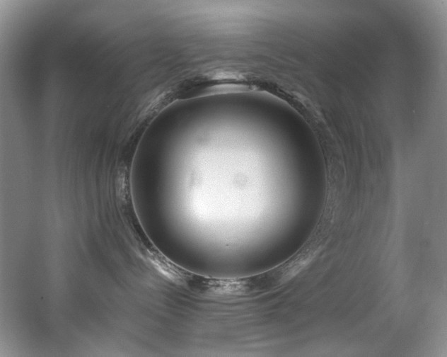 X0000062650288200512211240