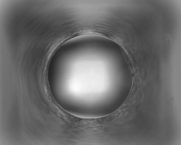 X0000062650289200512211239