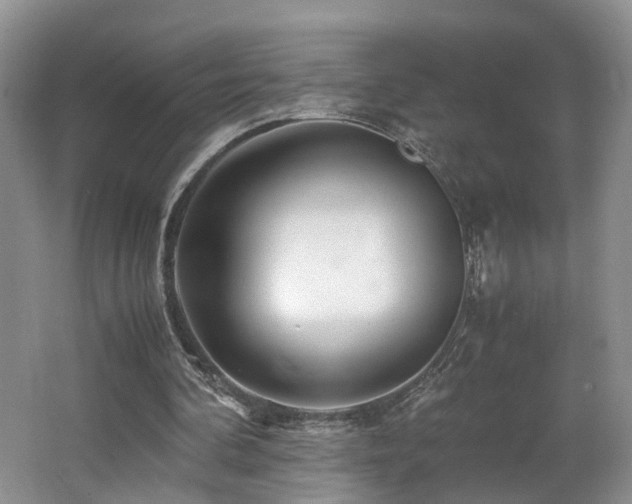 X0000062650292200512211239