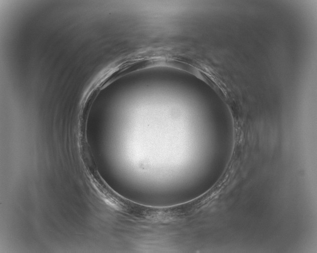 X0000062650293200512211239