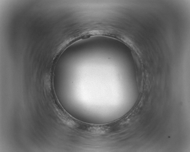 X0000062650297200512211239