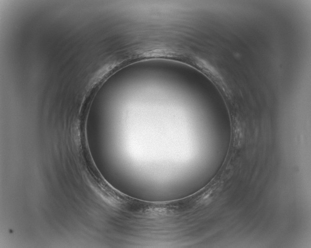 X0000062650298200512211239