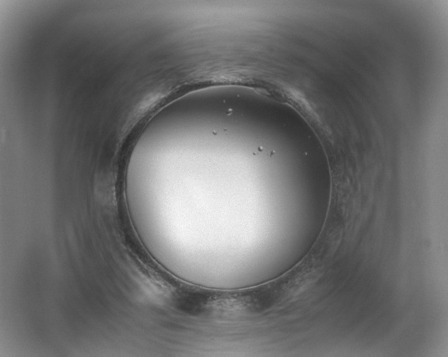 X0000062650299200512211239