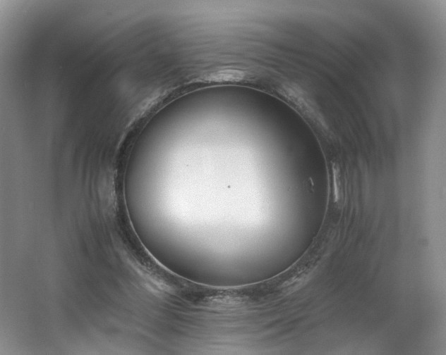 X0000062650300200512211239