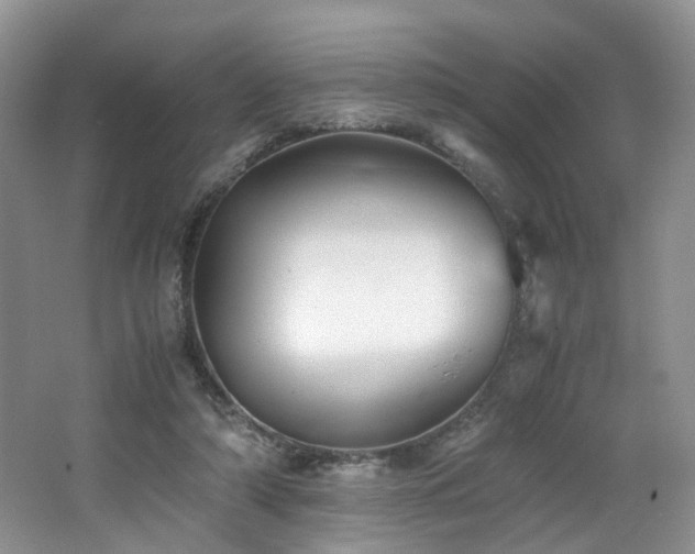 X0000062650306200512211238