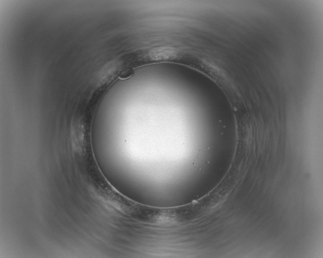 X0000062650308200512211238