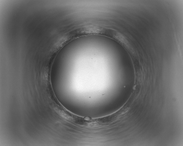 X0000062650309200512211238