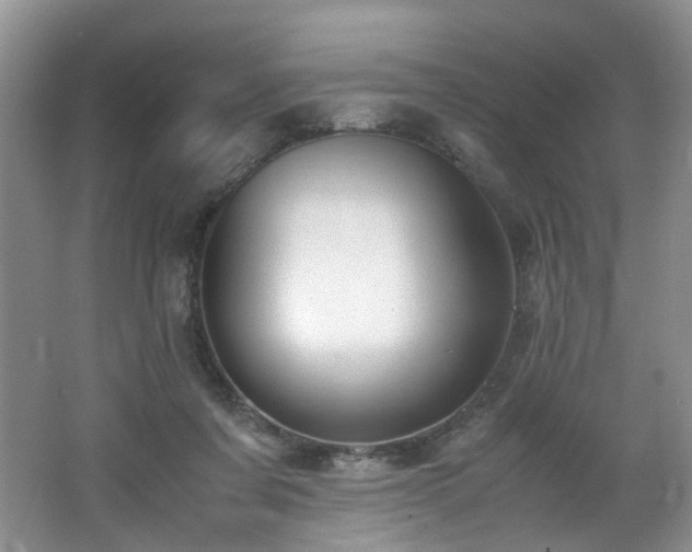 X0000062650311200512211238