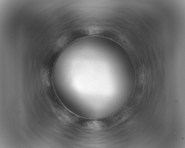 X0000062650316200512211238