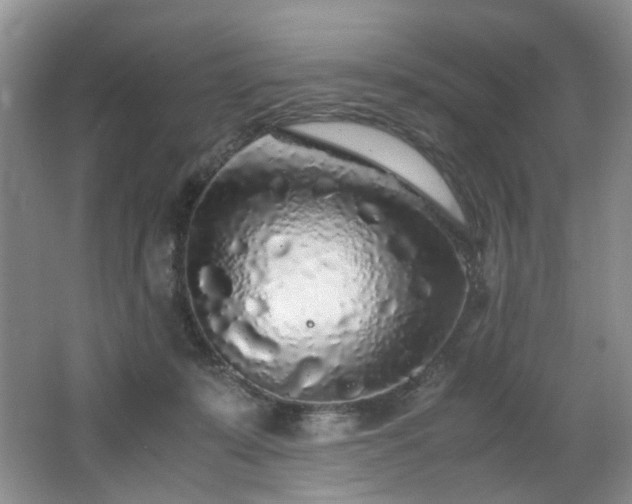 X0000062650319200512211238