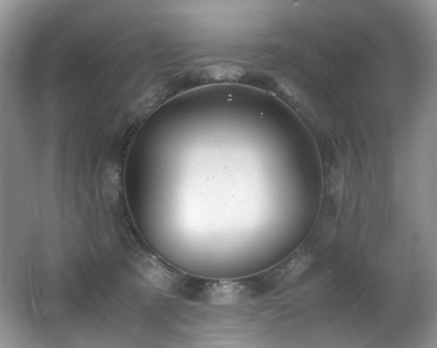X0000062650321200512211238