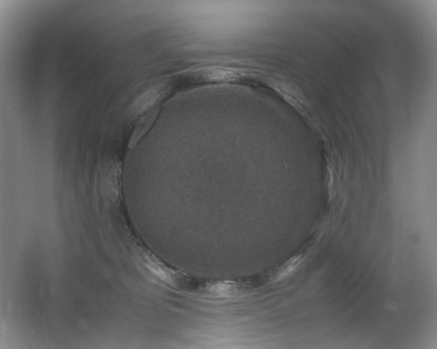 X0000062650325200512211238