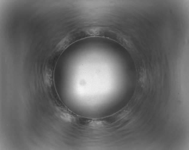 X0000062650332200512211238