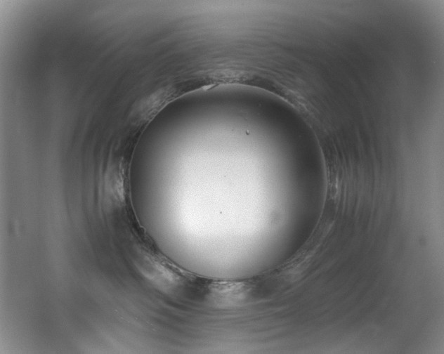 X0000062650334200512211238