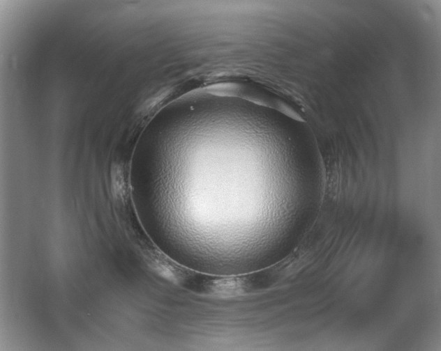 X0000062650335200512211238