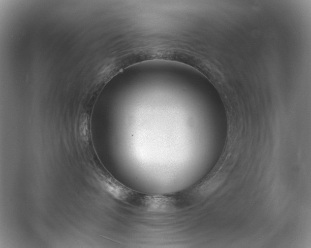 X0000062650336200512211238