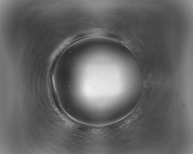 X0000062650341200512211237