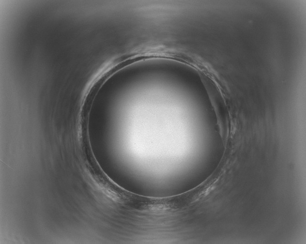 X0000062650344200512211237