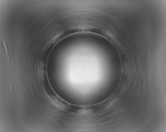 X0000062650356200512211237