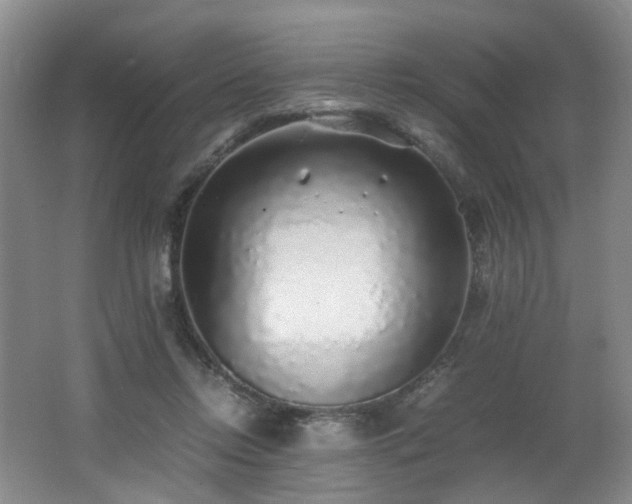 X0000062650358200512211237