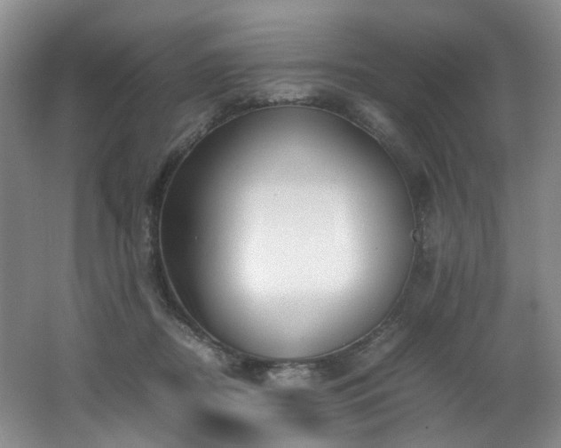 X0000062650362200512211237