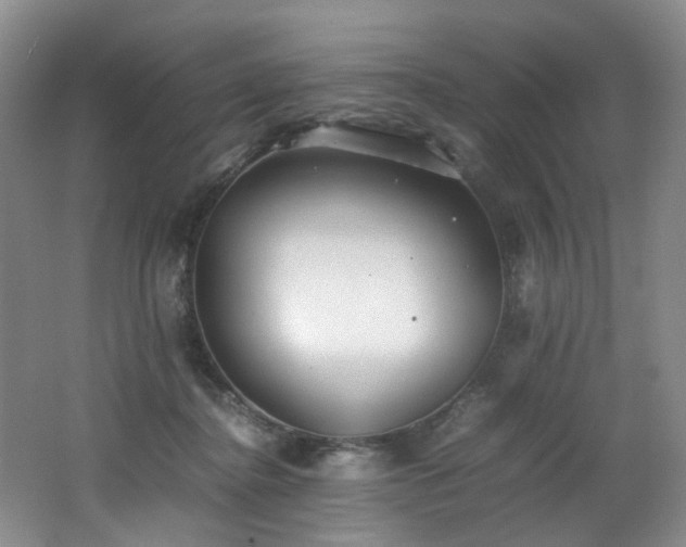 X0000062650364200512211237