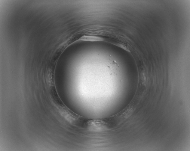 X0000062650372200512211238