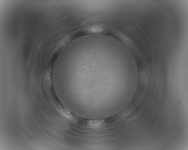 X0000062650373200512211238