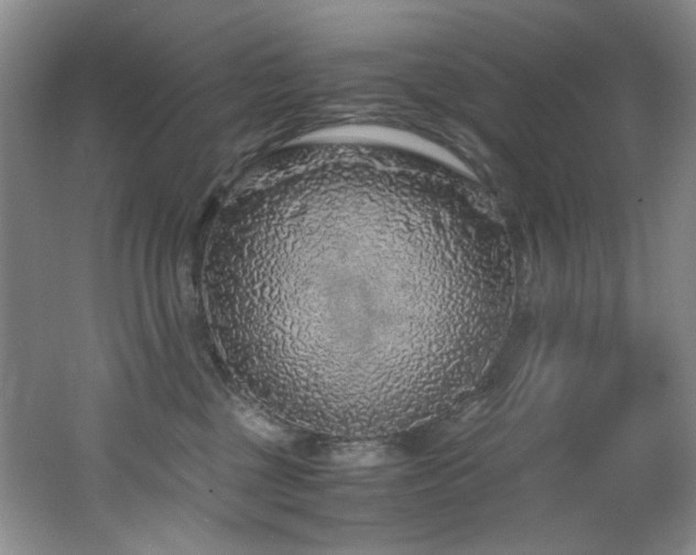 X0000062650377200512211238