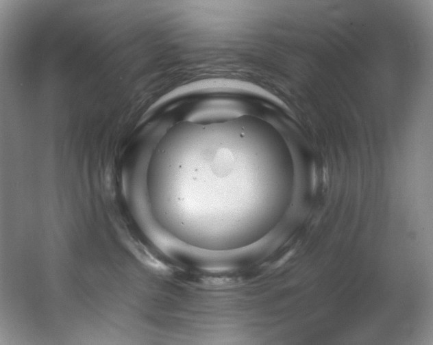 X0000062650380200512211238