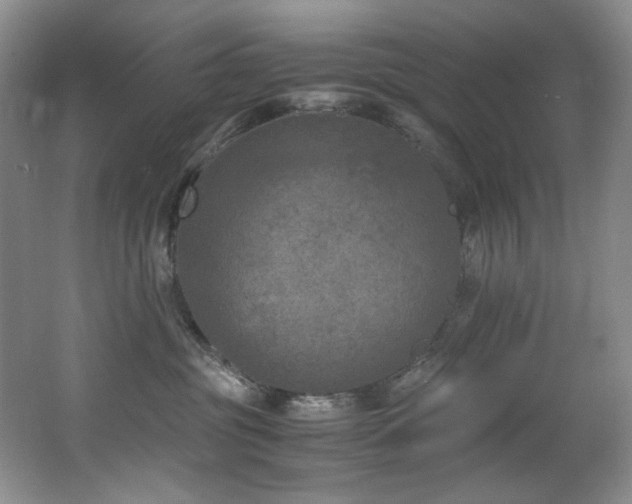 X0000062650381200512211238