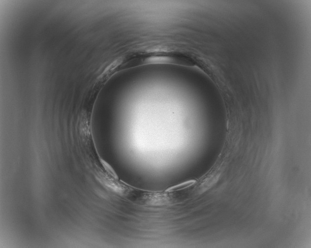 X0000062650384200512211238