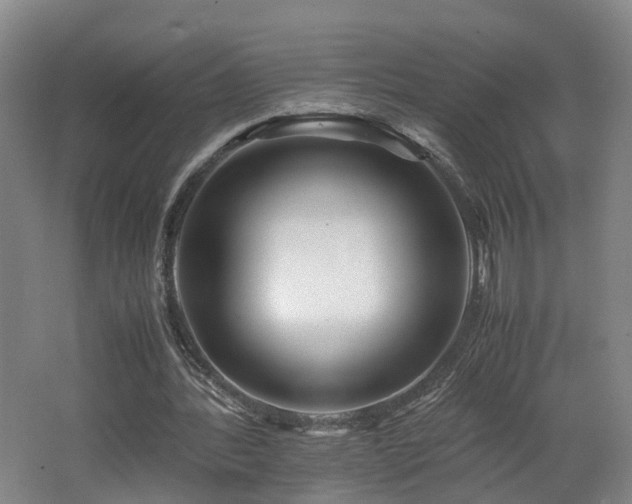 X0000062650388200512211237