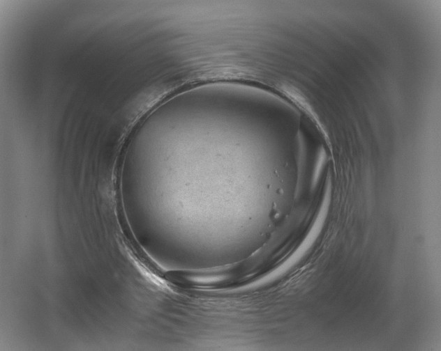 X0000062650389200512211237