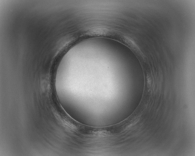 X0000062650396200512211237